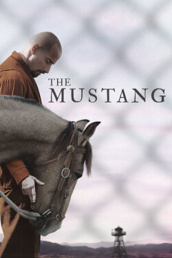 The Mustang (2019) The Mustang (2019)