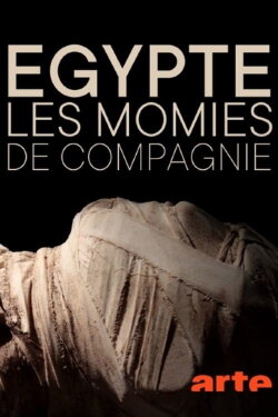 The Mysterious Mummified Dogs of Ancient Egypt (2020) The Mysterious Mummified Dogs of Ancient Egypt (2020)