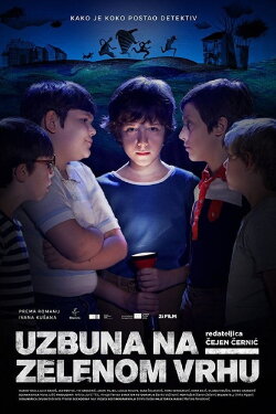 The Mystery of Green Hill (2017)