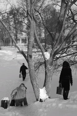The Mythology of the Everyday (2016) The Mythology of the Everyday (2016)