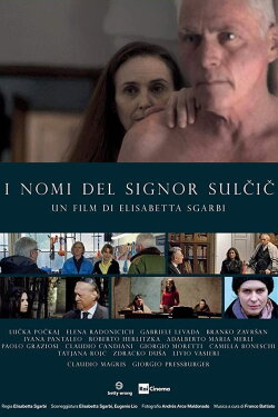 The Names of Mr. Sulcic (2019) The Names of Mr. Sulcic (2019)