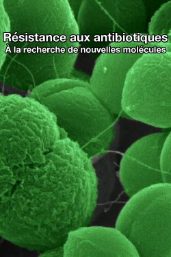 The Nature of Things: The Antibiotic Hunters (2015) The Nature of Things: The Antibiotic Hunters (2015)