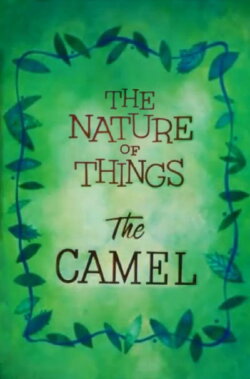 The Nature of Things: The Camel (1956) The Nature of Things: The Camel (1956)