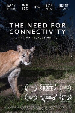 The Need for Connectivity (2021) The Need for Connectivity (2021)