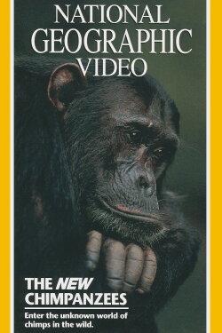 The New Chimpanzees (1995) The New Chimpanzees (1995)