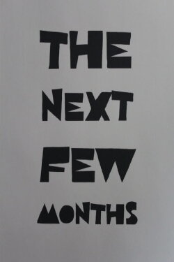 The Next Few Months (2019) The Next Few Months (2019)