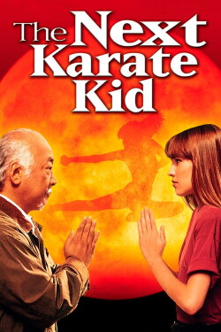The Next Karate Kid (1994) The Next Karate Kid (1994)