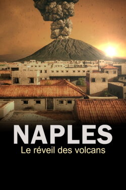 The Next Pompeii? (2019) The Next Pompeii? (2019)