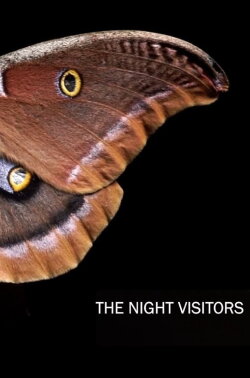 The Night Visitors (2023) The Night Visitors (2023)