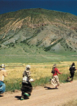 The Nightly Song of the Travellers (2006) The Nightly Song of the Travellers (2006)