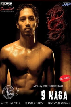 The Nine Dragon (2006)