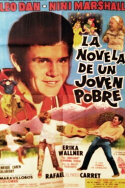The novel of a poor young man (1968)