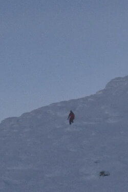 The Observers (2012)