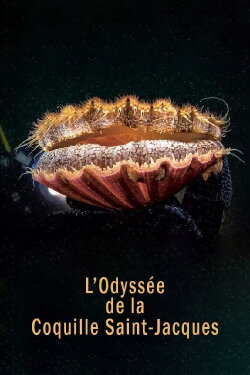 The Odyssey of the Scallop Shell (2022)