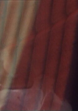 The Old Woman's Face, The Soup Tureen, Vreni Keller Speaks and Madame's Fanny (1967) The Old Woman's Face, The Soup Tureen, Vreni Keller Speaks and Madame's Fanny (1967)