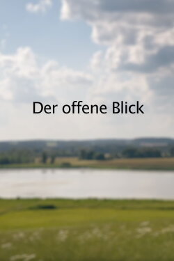 The Open View (2022)