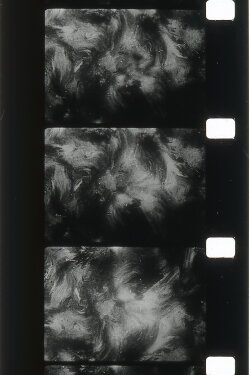 The Or Cloud (2001) The Or Cloud (2001)