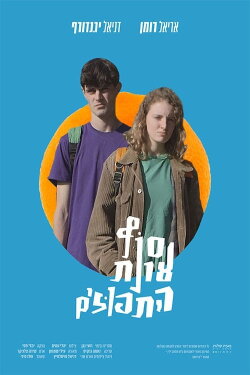 The Orange Season Is Over (2019) The Orange Season Is Over (2019)