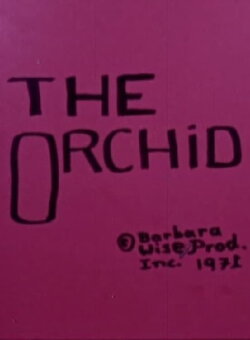 The Orchid (1971) The Orchid (1971)