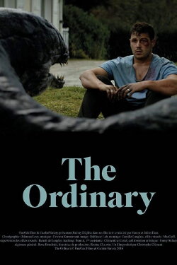 The Ordinary (2016)