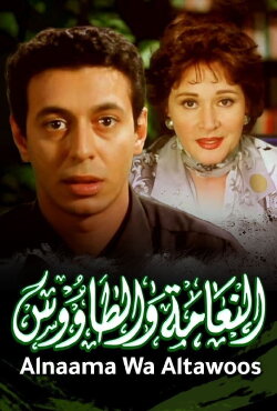 The Ostrich and the Peacock (2002) The Ostrich and the Peacock (2002)