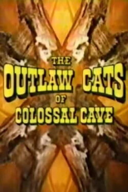 The Outlaw Cats of Colossal Cave (1975) The Outlaw Cats of Colossal Cave (1975)