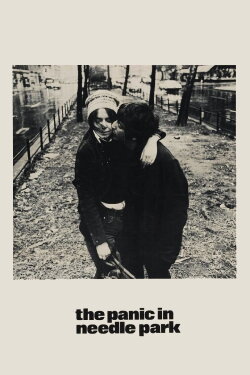 The Panic in Needle Park (1971) The Panic in Needle Park (1971)