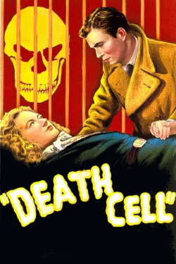 The Patient Vanishes (1941) The Patient Vanishes (1941)