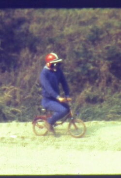 The Pepper (1978) The Pepper (1978)