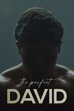 The Perfect David (2021) The Perfect David (2021)