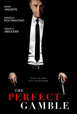 The Perfect Gamble (2025)