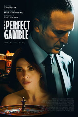 The Perfect Gamble (2025) The Perfect Gamble (2025)