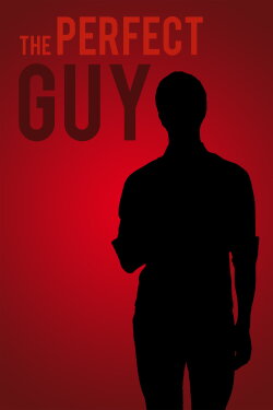 The Perfect Guy (2017) The Perfect Guy (2017)