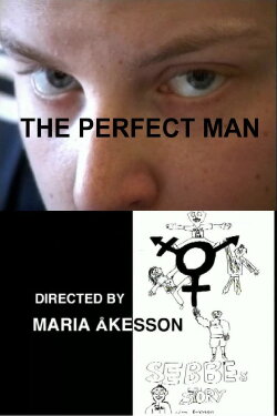 The Perfect Man (2007)