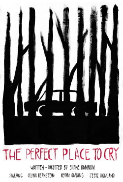 The Perfect Place to Cry (2023) The Perfect Place to Cry (2023)
