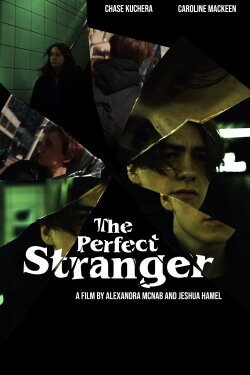 The Perfect Stranger (2023)