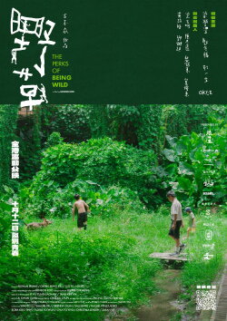 The Perks of Being Wild (2024) The Perks of Being Wild (2024)