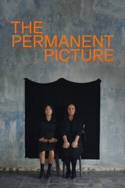 The Permanent Picture (2023) The Permanent Picture (2023)
