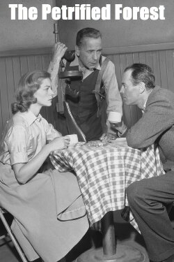 The Petrified Forest (1955) The Petrified Forest (1955)