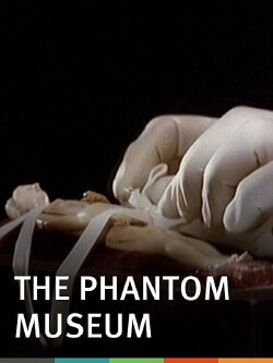The Phantom Museum: Random Forays Into the Vaults of Sir Henry Wellcome's Medical Collection (2003) The Phantom Museum: Random Forays Into the Vaults of Sir Henry Wellcome's Medical Collection (2003)