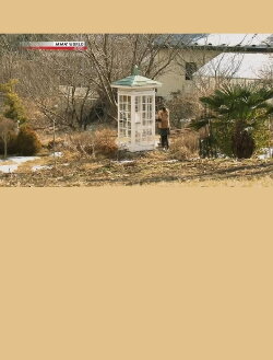 The Phone of the Wind: Whispers to Lost Families (2016) The Phone of the Wind: Whispers to Lost Families (2016)