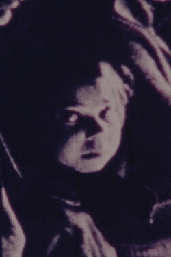 The Photograph (1984)
