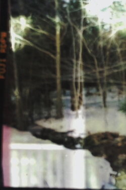 The Photoplay Obeys the Laws of the Mind (2021)