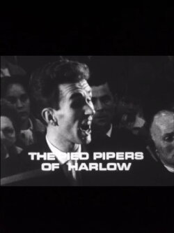 The Pied Pipers of Harlow (1965) The Pied Pipers of Harlow (1965)