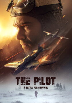 The Pilot: A Battle for Survival (2021) The Pilot: A Battle for Survival (2021)