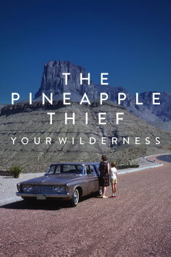 The Pineapple Thief: Your Wilderness (2017) The Pineapple Thief: Your Wilderness (2017)