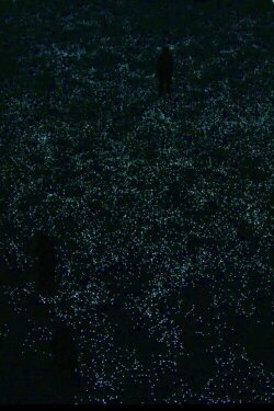 the planck universe [micro] (2015)