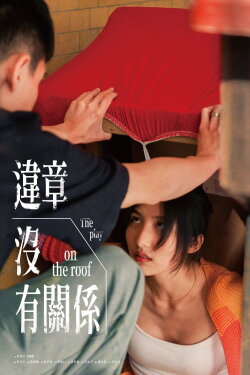 The Play on the Roof (2024) The Play on the Roof (2024)