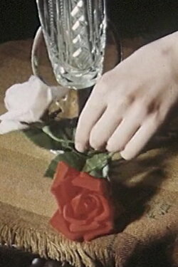 The Poet, the Spider and the Hand﻿ (1952)