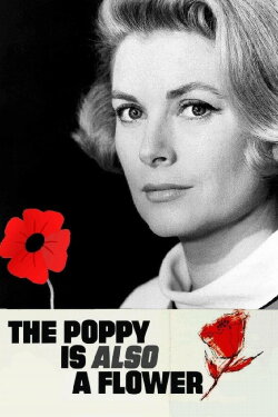 The Poppy Is Also a Flower (1966) The Poppy Is Also a Flower (1966)